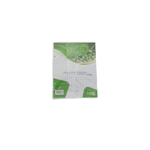 Feuilles Mobiles Perforées Blanches Séyès 17 x 22 96P 60G