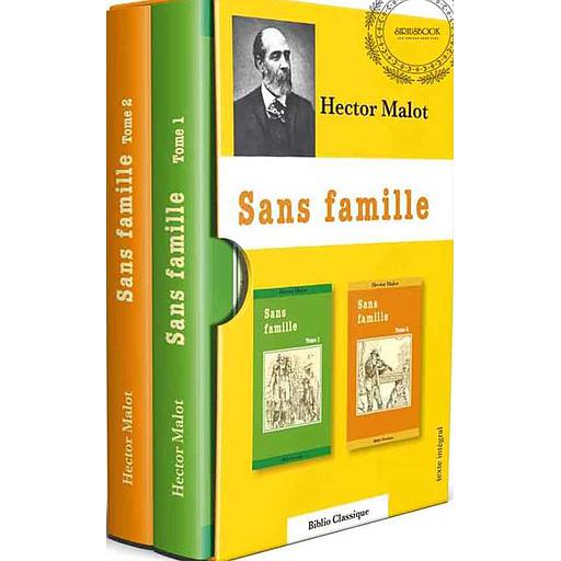Sans Famille ( Coffret 1/2 )