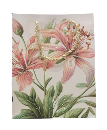 Sac Cadeau PM 230x180