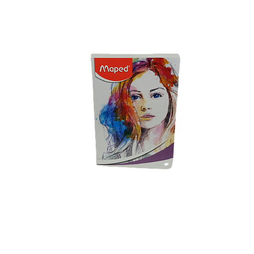 Cahier Broché Simple 21x29.7 384P 5x5 72G