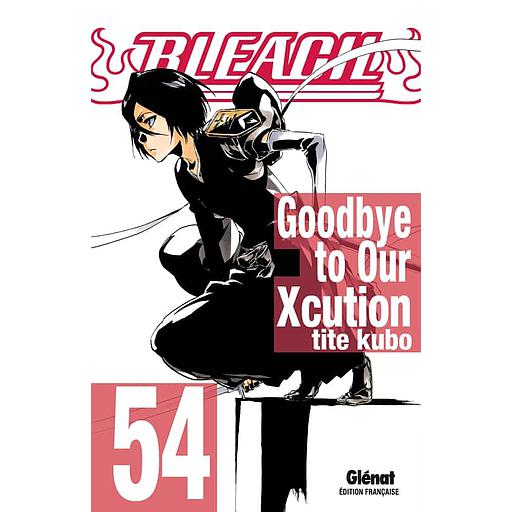 Bleach Tome 54 - Goodbye to our xcution