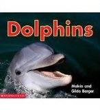 Dolphins