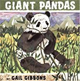 Giant Pandas