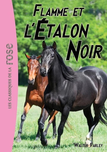 L'Etalon Noir Tome 17 - Flamme et l'Étalon Noir