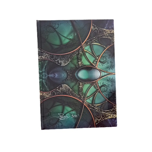 Registre MINTRA 5M A4 - 240 feuilles