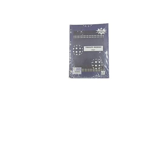 Feuilles Mobiles Perforées Séyès 21x29,7 100P 60G