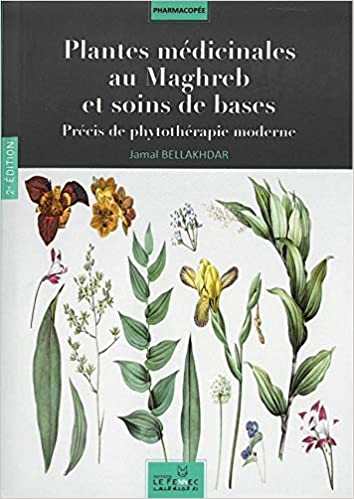 Plantes Médicinales au Maghreb et soins de bases