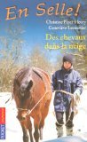 En Selle !, Tome 19 : Des chevaux dans la neige