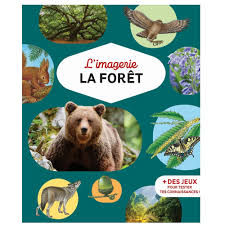 L'imagerie de la forêt