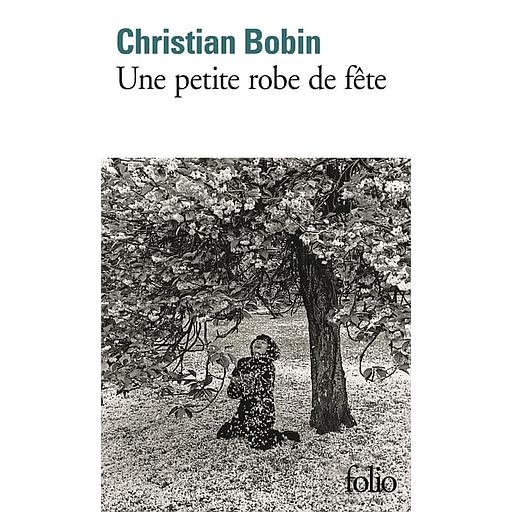 Une Petite Robe De Fete