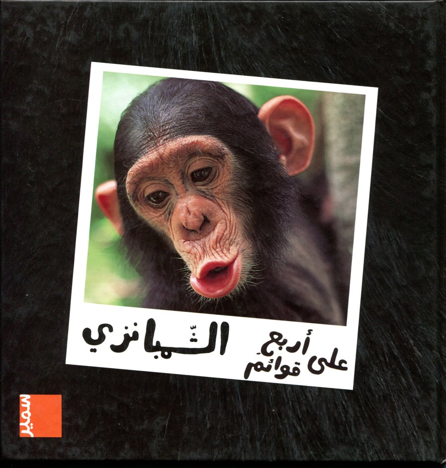 الشمبانزي
