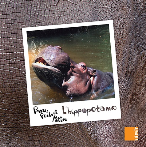 Peau, poils et pattes - L'hippopotame