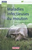 Maladies infectieuses du mouton