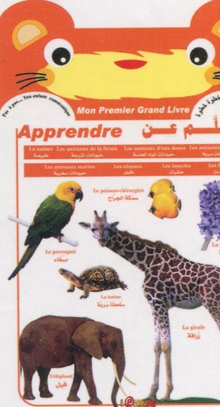 تعلم عن حيوانات برية رقم 2 عربي فرنسي