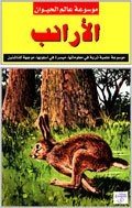 موسوعة عالم الحيوان: الأرانب