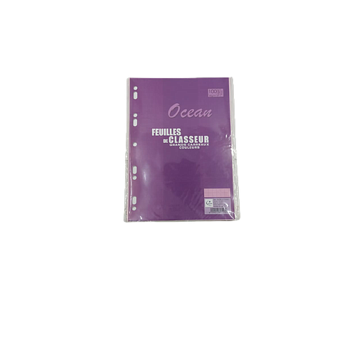 Copies Simples Ocean 21 x 29,7 Séyès Rose 100P 80G