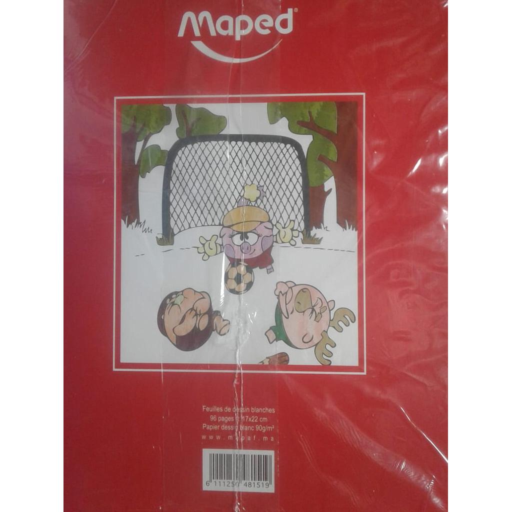 Feuilles de Dessin Blanches 17 x 22 96 90G