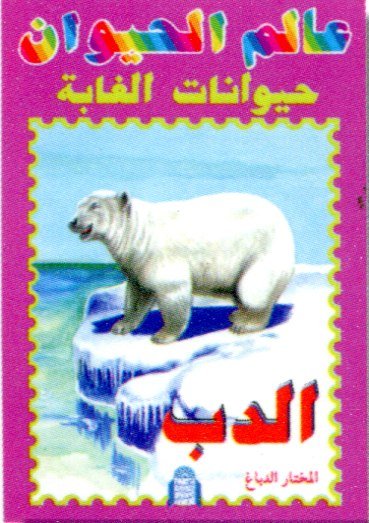 الدب