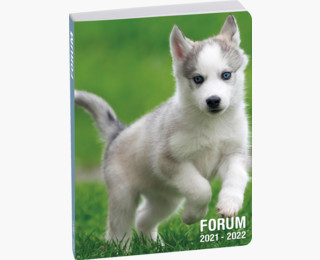 Agenda Scolaire 2021/2022 Réf 18778