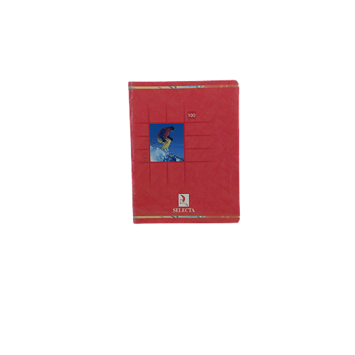 Cahier Piqué Séyès 100P 17x22 96P