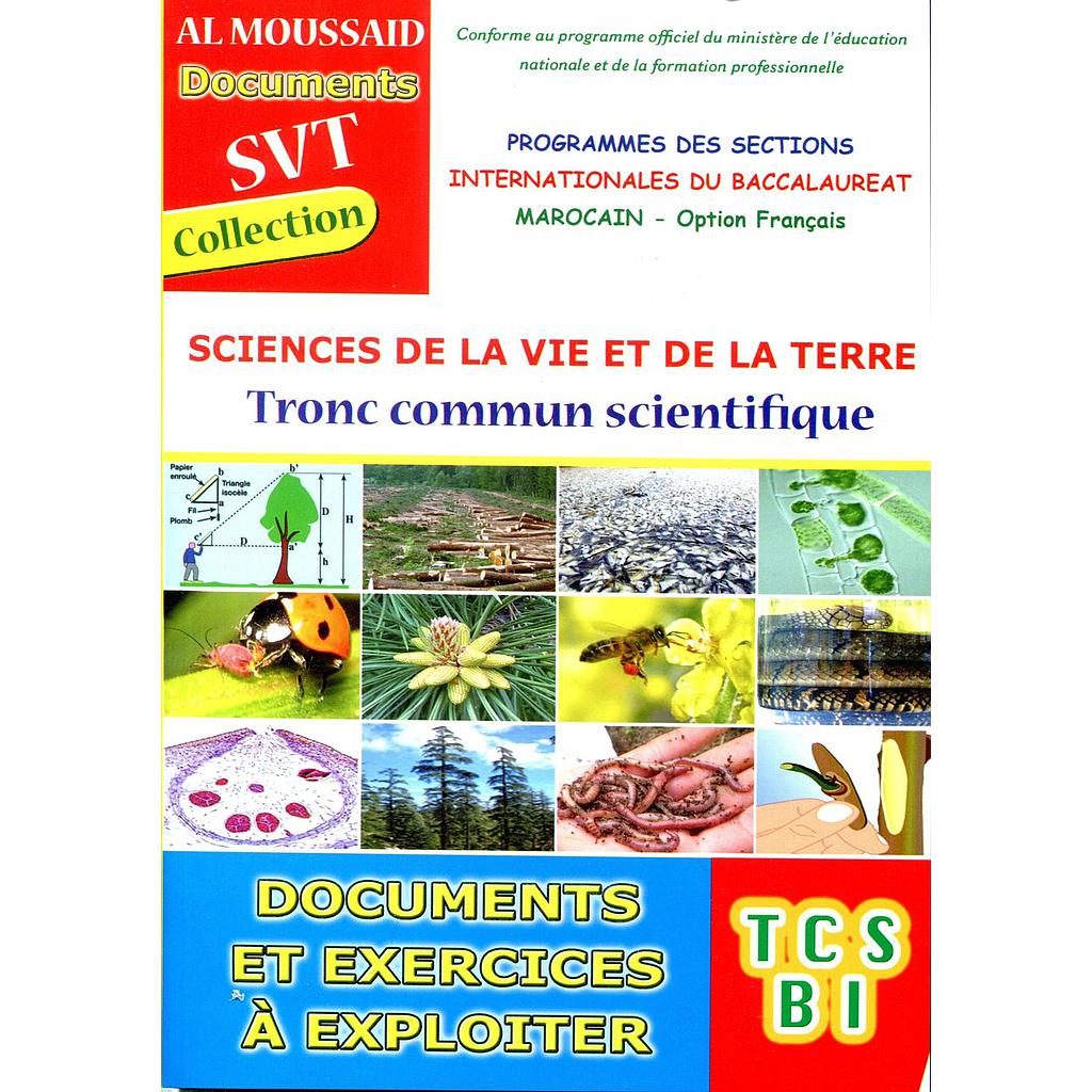 Al Moussaid Document SVT TCS BI