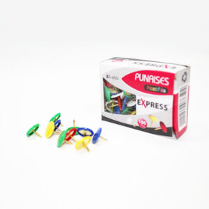 Punaises - Coloris - 100 pcs