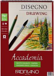 Bloc à Dessin Academia avec spirale A3 200G