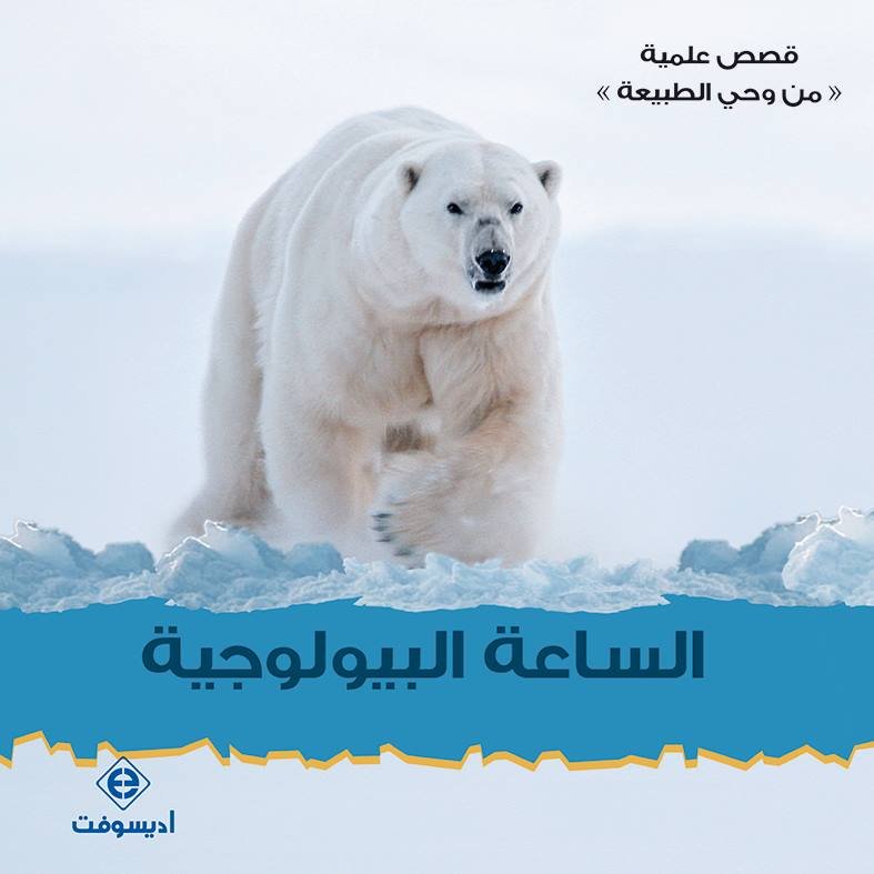 الساعة البيولوجية