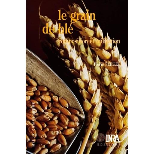 Le Grain De Ble. Composition Et Utilisation