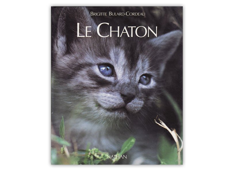 Le Chaton : D'avant sa naissance à l'âge adulte