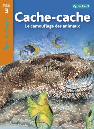 Cache-cache  - Le camouflage des animaux Cycles 2 et 3 niveau 3