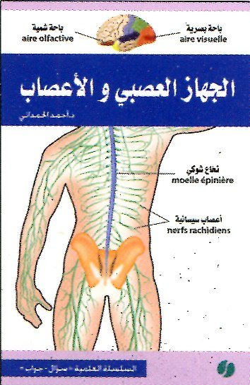 الجهاز العصبي والأعصاب