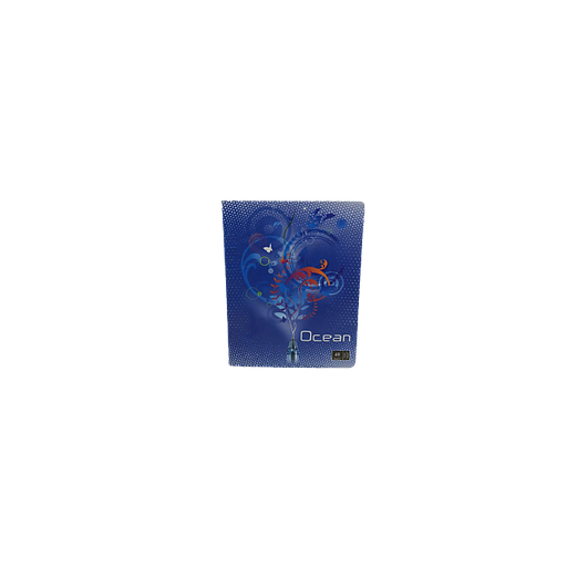 Cahier Piqué Simple Séyès 17 x 22 48P 60G