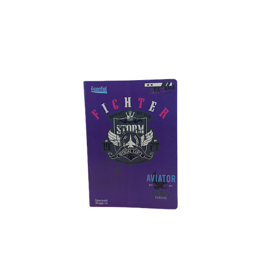 Cahier Broché 21 x 29.7 384P 5 x 5 60G