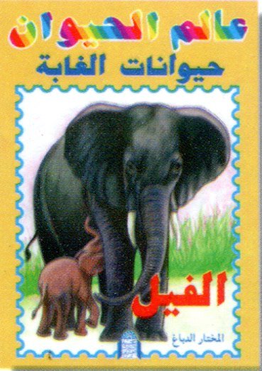 الفيل