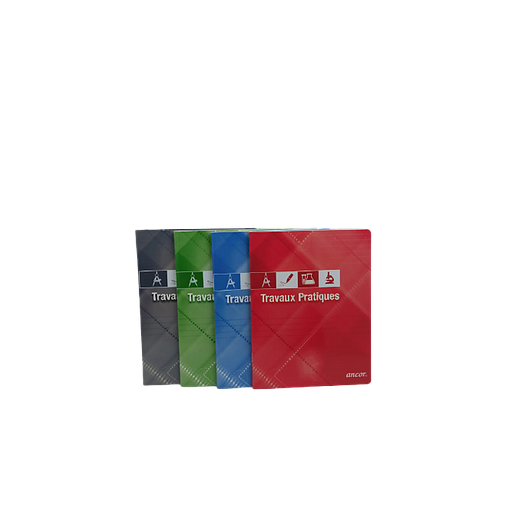 Cahier Piqué Simple TP 17x22 96P 90G