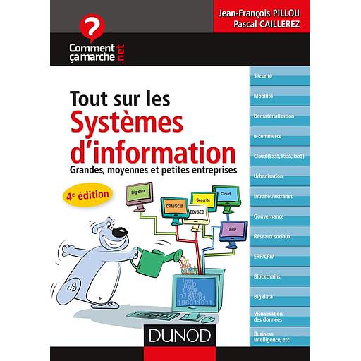 Tout sur les systèmes d'information  - Grandes, moyennes et petites entreprises