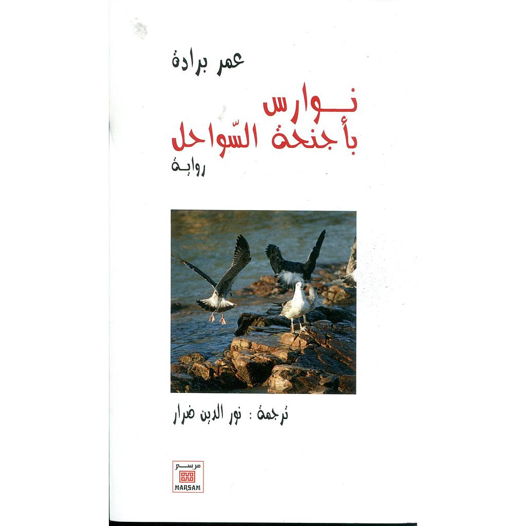 نوارس بأجنحة السواحل