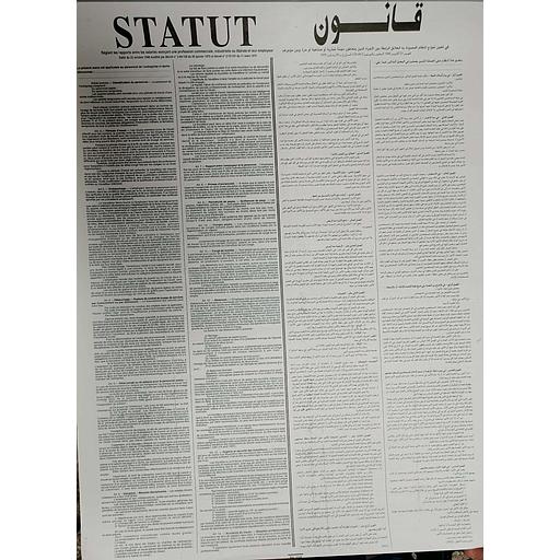 Statuts Professionnels Grand Format  de Travail