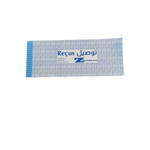 Carnet Reçu 250*96