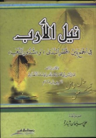 نيل الأرب في الجمع بين قطر الندى وشذور الذهب
