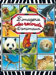 L'Imagerie des records d'animaux