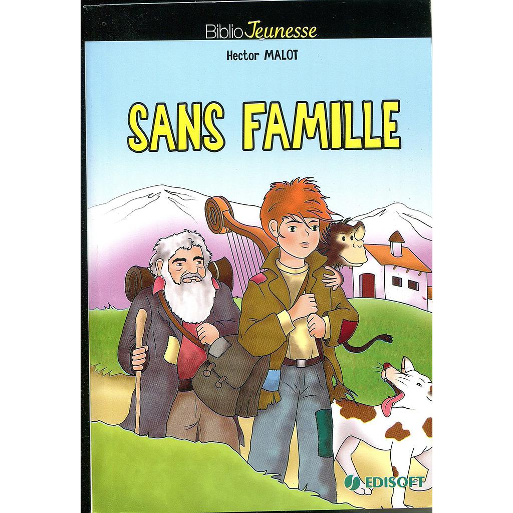 Biblio Jeunesse : Sans famille
