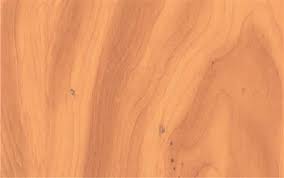 Rouleau Adhésif Maple Light 15m*45