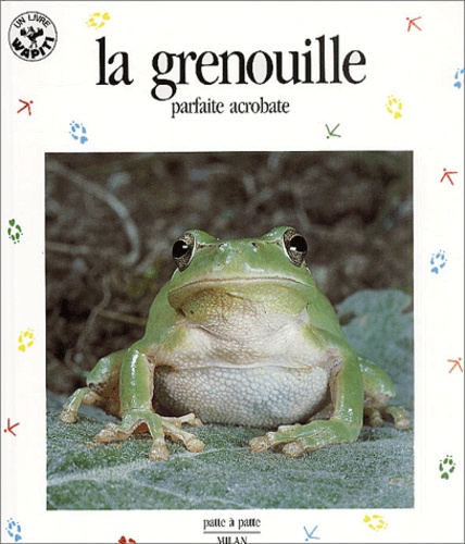 La grenouille. Parfaite acrobate