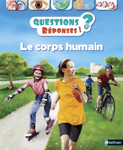 Le corps humain Questions / Réponses