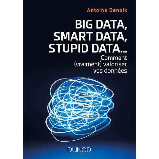 Big Data, Smart Data, Stupid Data...  - Comment (vraiment) valoriser vos données. Petit manuel à l'usage de ceux qui veulent accélerer et réussir