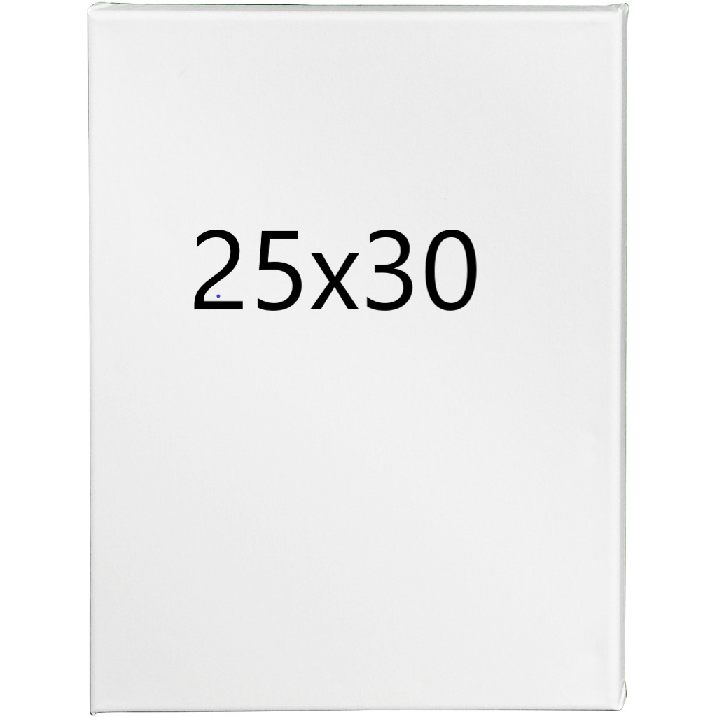 Toile Peinture 25x30