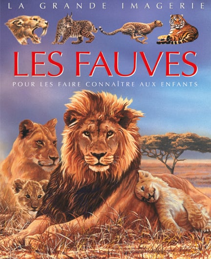 La grande imagerie : Les Fauves