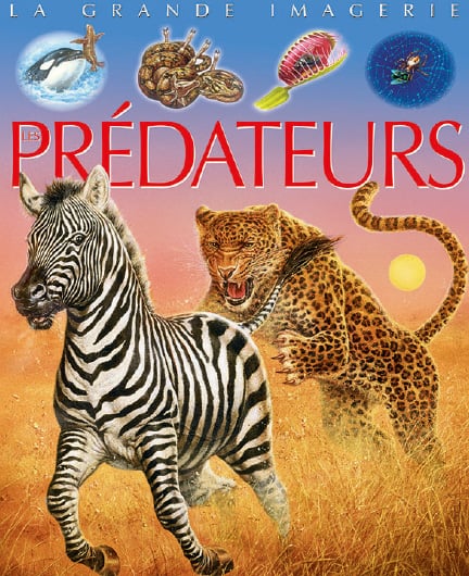 La grande imagerie : Les Prédateurs